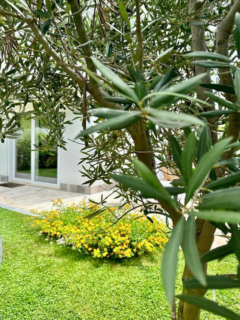 Casa Mila White Villa Marina di Cerveteri Exterior foto